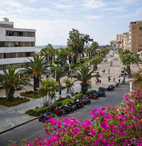 Paseo urbano arbolado con flores